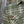 Load image into Gallery viewer, 45th Parallel Timberline Flannel