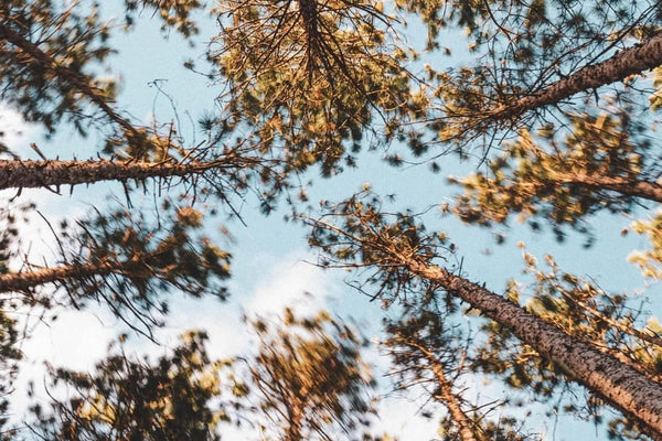 The In-Between: What Nobody Tells You About April Up North