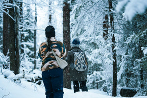 Hiking The shingle mill pathway in the pigeon river forest, Michigan winter