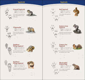 Field Guides & Local Reads