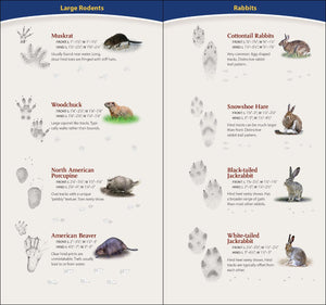 Field Guides & Local Reads