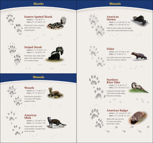Field Guides & Local Reads