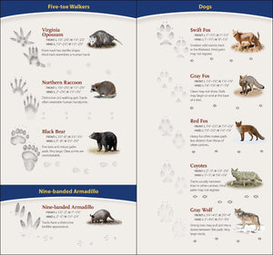 Field Guides & Local Reads