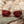 Camp Sunglasses