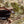 Camp Sunglasses
