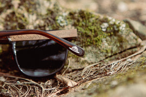 Camp Sunglasses