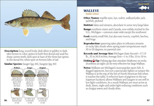 Field Guides & Local Reads