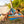 Grand Trunk Double Deluxe Hammock