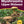 Field Guides & Local Reads