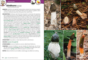 Field Guides & Local Reads