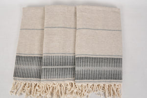 45th Parallel Turkish Beach Towel