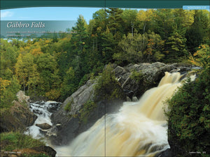 Field Guides & Local Reads