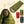 45th Parallel Camp Sleeping Bag